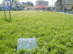 阿見町阿見宅地造成工事 平成20年度施工 民間発注 着工前